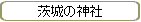 ���̐_��